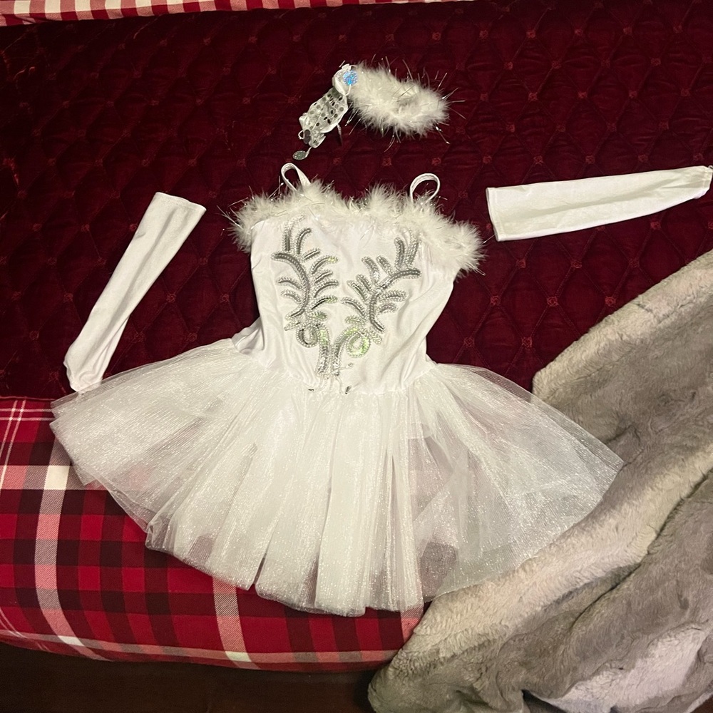 Swan Lake Ballet Dress